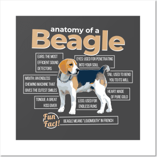 Anatomy of a Beagle Posters and Art